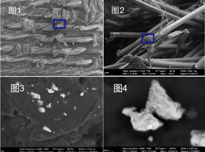 喀什蔡司喀什扫描电镜